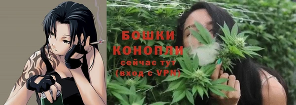 дурь Володарск