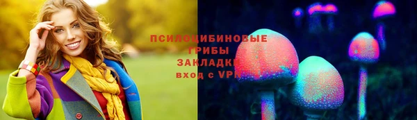 дурь Володарск