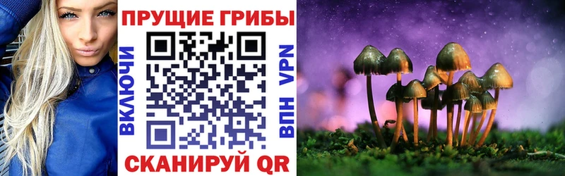 Псилоцибиновые грибы мицелий  Прокопьевск 